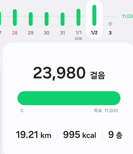 <100일 차, 1월 2일 금요일> 100일의 기적