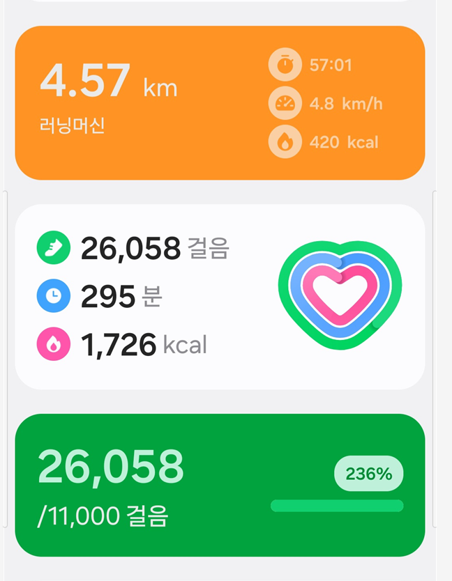 <136일 차, 2월 7일 토요일> 팔달산