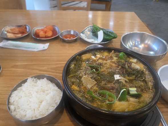 <235일 차, 5월 17일 일요일> 역시 피곤한 일요일