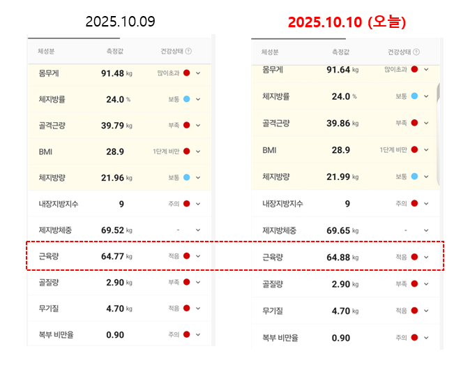 마운자로 16일 차, 고담시