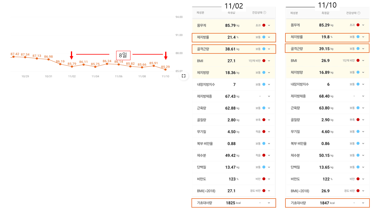 마운자로 47일 차, 긴 정체