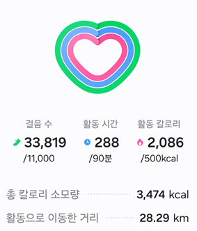 <160일 차, 3월 3일 화요일> 정리가 안된다