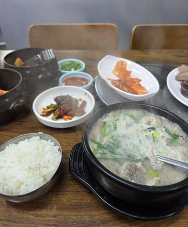<185일 차, 3월 28일 토요일> 광교산 10km