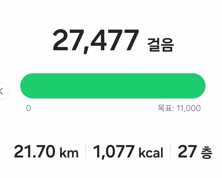 <157일 차, 2월 28일 토요일> 이사 준비와 런닝화
