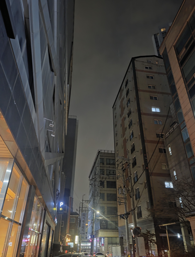 <121일 차, 1월 23일 금요일> 다시 금주
