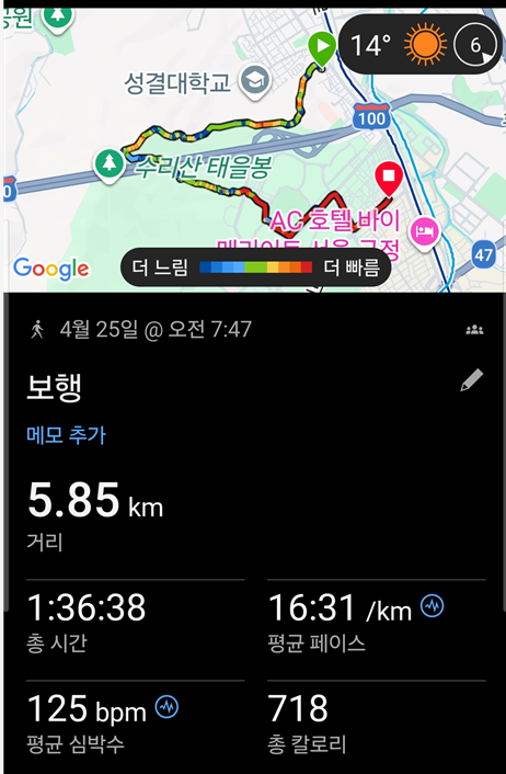 <213일 차, 4월 25일 토요일> 아침 산행