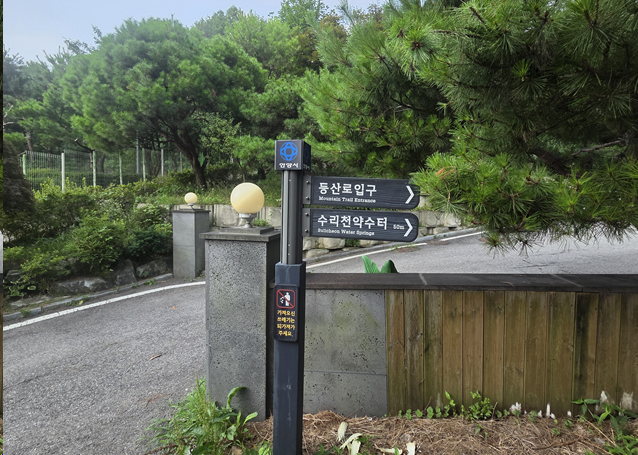 <296일 차, 7월 17일 금요일> 산으로