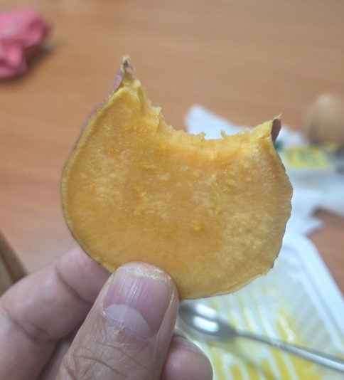 마운자로 41일 차, 월요일같은 화요일