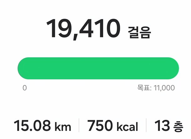 <86일 차, 12월 19일 금요일> 인바디와 차이가 없다! 그리고 이사 2일차
