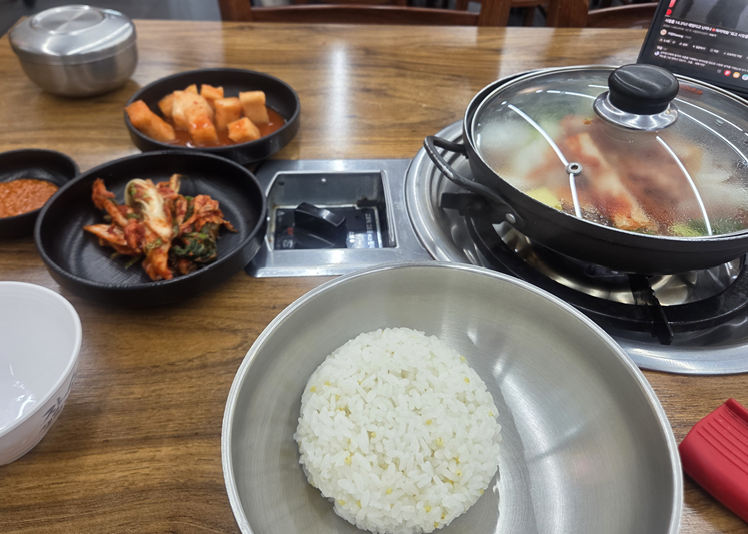 <276일 차, 6월 27일 토요일> 라이선스