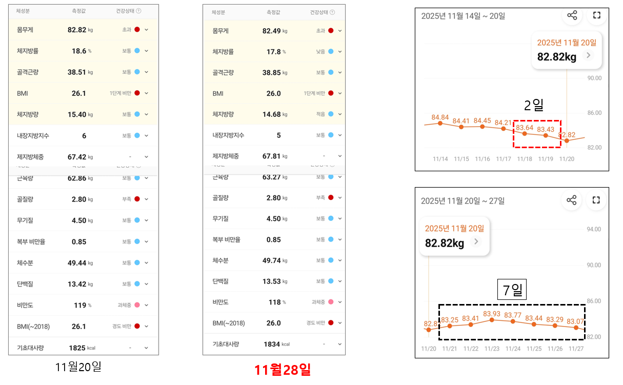 <65일 차, 11월 28일 금요일> 중간 점검