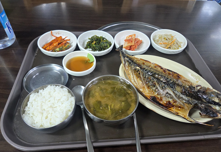 마운자로 41일 차, 월요일같은 화요일