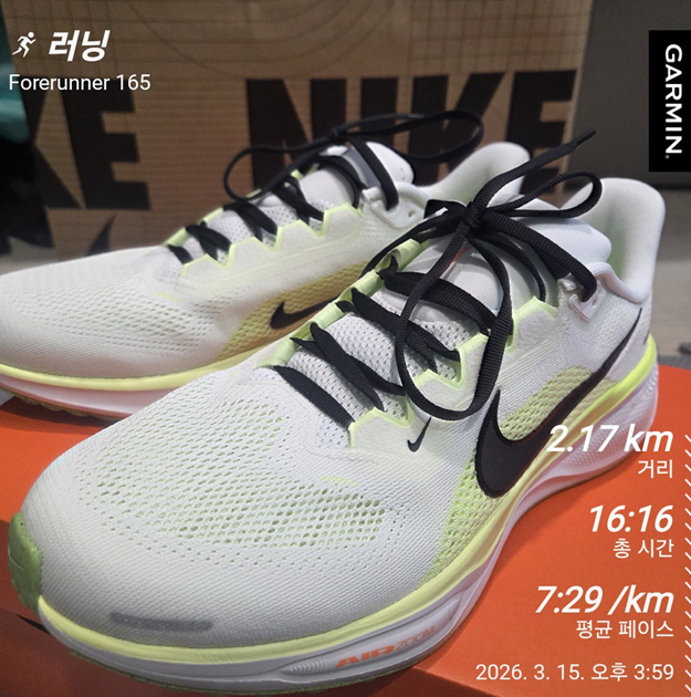 <172일 차, 3월 15일 일요일> 비오는 일요일