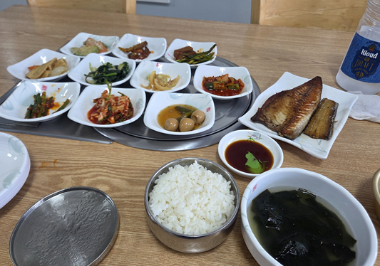 <285일 차, 7월 6일 월요일> 장마