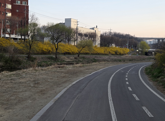 <185일 차, 3월 28일 토요일> 광교산 10km
